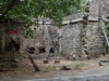 P4230385 - Copy