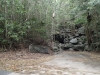 P4230431 - Copy