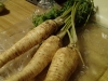 Root Parsley
