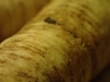 Root Parsley