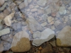 Ohio hiking