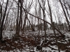 Ohio hiking