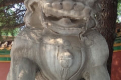 Travels in Beijing, China