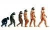 evolution