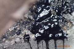 Greenpoint Oil Pollution