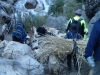Young Boy Hauling Straw