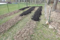 Pandemic Gardening 2020