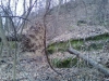 Sells Park hiking