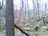 Sells Park hiking