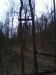 Sells Park hiking