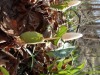 P4110043