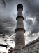 Taj Mahal (117)