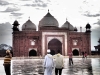 Taj Mahal (124)