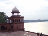 Taj Mahal (154)