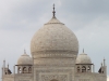 Taj Mahal (50)