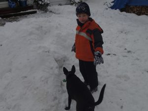 Will and Shadow in the Snow
