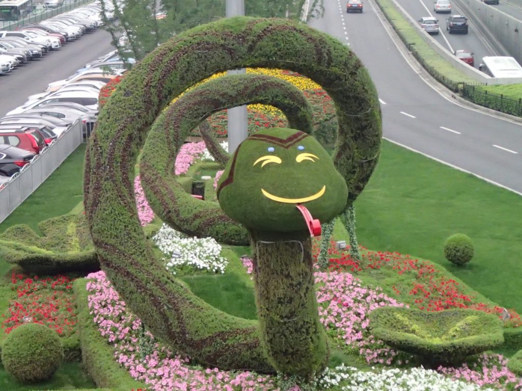 Fully frontal snake!