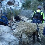 Villagers with straw in Nepal.