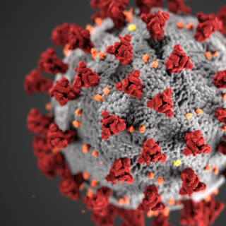 coronavirus